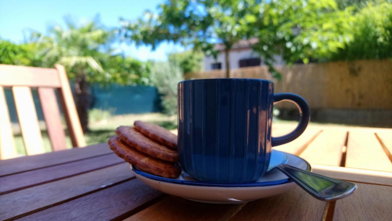 Fleurs De Cosmos Acomodação com café da manhã Albi Exterior foto